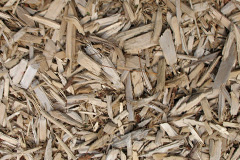 biomass boilers Woodville Feus